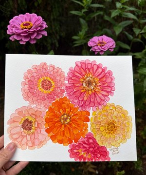 Watercolor Peachy Pink Zinnias 8x10" Original Painting