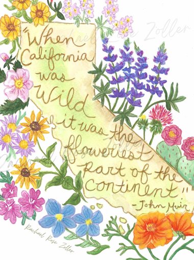 California Flowers 5x7" Print