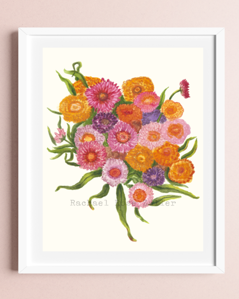 Strawflower Watercolor Print 8x10"