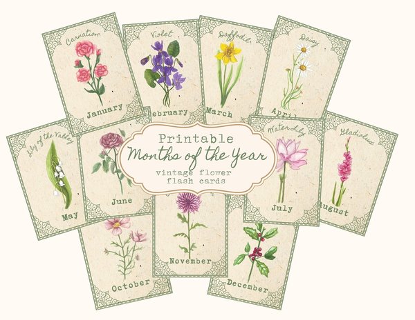 Months of the Year Flashcards Flowers Vintage Seed Packets Homeschool Preschool Kindergarten Nature School Flowers of the year