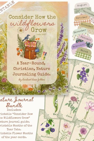 Consider How the Wildflowers Grow Christian Nature Journal Guide by Rachael Rose Zoller Nature Study Homeschool PRINTABLE KIT